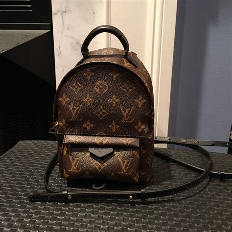 louis vuitton palm springs backpack rain|louis vuitton small backpack price.